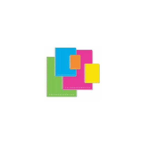Maxi Quaderno A4 Spiralato ppl 5mm con fori...