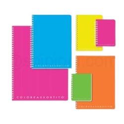 Quaderno spiralato formato A5 in ppl senza fori 160 pagine 80gr 80 fogli Rigatura 4mm