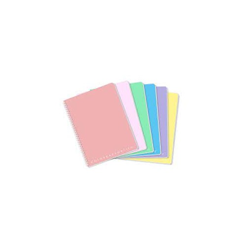 Maxi Quaderno A4 spiralato ppl 4mm con fori...