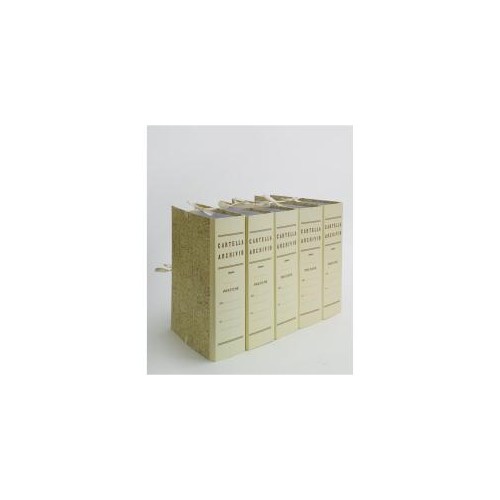 Faldone Cartella Archivio dorso 18 con legacci
