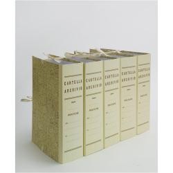 Faldone Cartella Archivio dorso 18 con legacci