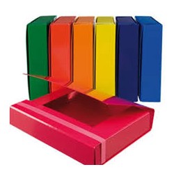 Raccoglitore portaprogetti dorso 3 con elastico colori assortiti