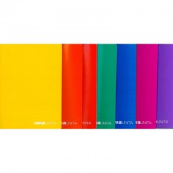 Maxi Quaderni Tinta Unita A4 80gr 1R