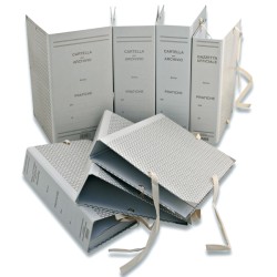 Faldone Cartella Archivio dorso 20 con Legacci